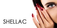 shellac процедуры